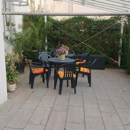 Pension Reichel Freiberg Exterior photo